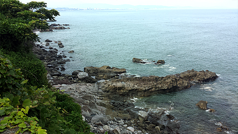 小田原の海の岩場