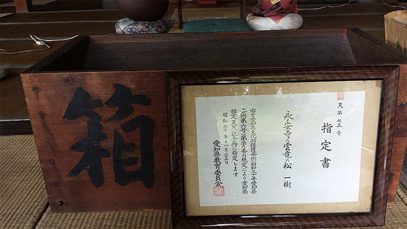 永安寺にある愛知県の天然記念物　雲竜の松の証書