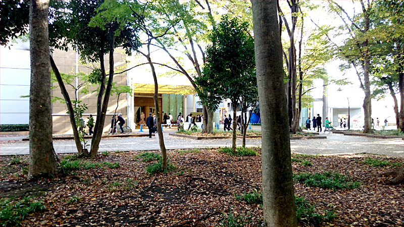 森の中から上野の森美術館を見た風景