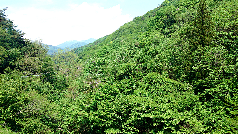 笹子峠から見る山並み